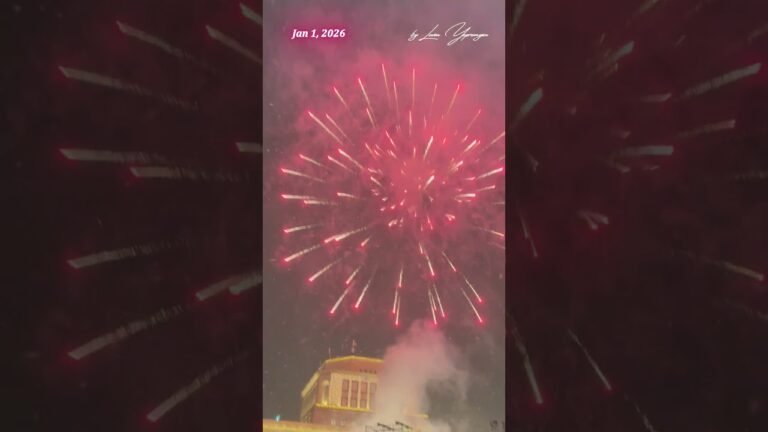 Yerevan’s New Year’s Eve Drone Show Left Everyone Speechless ✨ #yerevan #dronesshow ✨ 34
