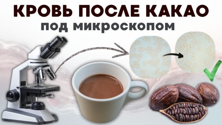 Кровь после употребления НЕАЛКАЛИЗОВАННОГО КАКАО. С молоком, сахаром и без добавок.