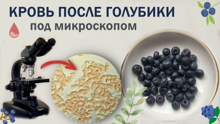 Как съеденная голубика повлияет на состояние крови.