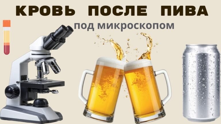 Как пиво влияет на состояние крови.