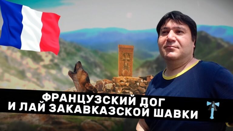 Французский дог и лай закавказской шавки