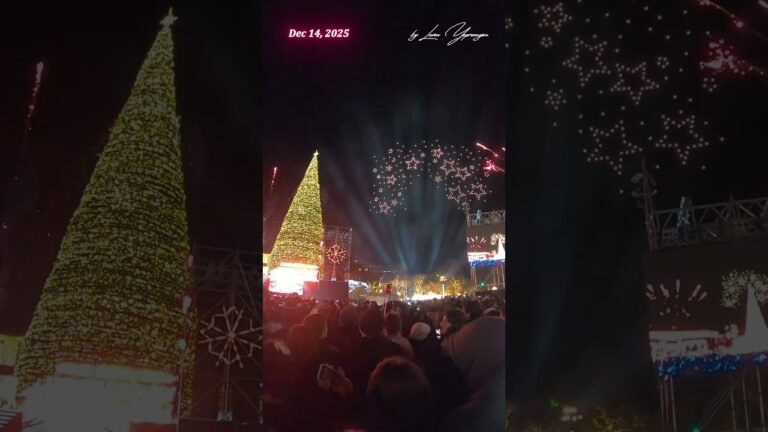 Massive Christmas Tree Lights Up Yerevan 🎄 ARMENIA 🎄 006