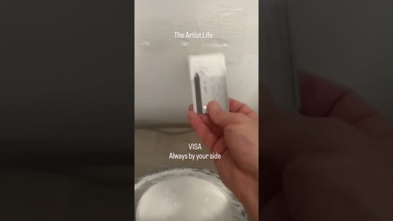 #visa #artistlife #visa #artistlife