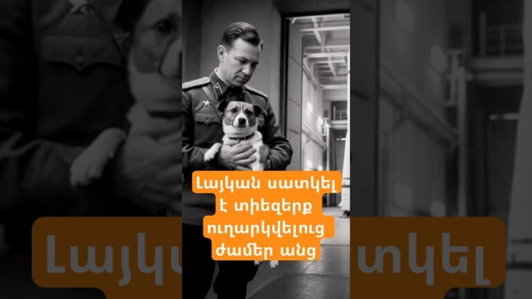 36 շուն է ուղարկվել տիեզերք՝ Յուրի Գագարինից առաջ: #Laika#SpaceDog#Sputnik2#spacehistory 36 շուն է ուղարկվել տիեզերք՝ Յուրի Գագարինից առաջ: #Laika#SpaceDog#Sputnik2#spacehistory
