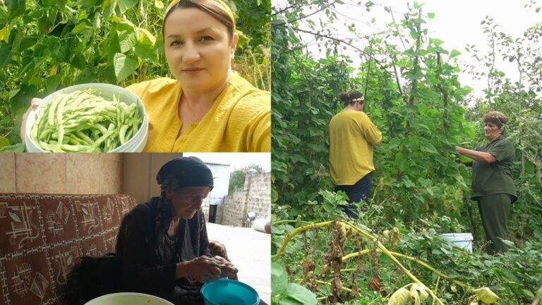 Մայրիկիս Այգու ԿԱՆԱՉ ԼՈԲԻՆ – Շամշադինի Համը – Шамшадин