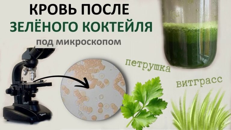 Как выглядит кровь после 500 мл зеленого коктейля