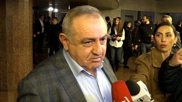 Մենք վախկոտ չենք, ուժեղ ղեկավար ենք ունենալու #ishkhanutyun #Samvel #Karapetyan