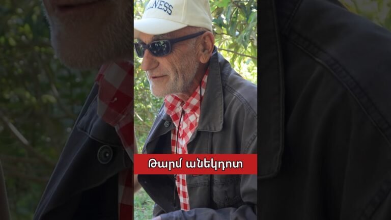 #armenia #vivtash #վիվտաշ #վիվտաշիարկածները #armenia #vivtash #վիվտաշ #վիվտաշիարկածները