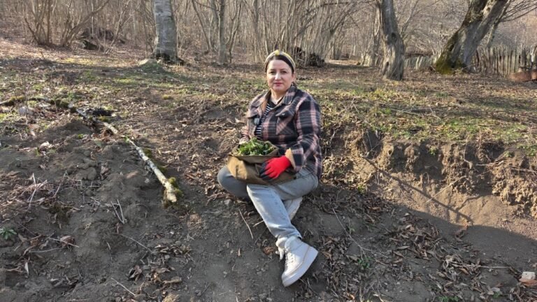 Առաջին ԲԱՆՋԱՐաՔԱՂ – Փետրվարի 23-ն էլ Շնորհավոր – Շամշադինի Համը – Шамшадин Առաջին ԲԱՆՋԱՐաՔԱՂ – Փետրվարի 23-ն էլ Շնորհավոր – Շամշադինի Համը – Шамшадин