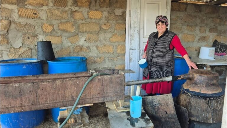 Սկեսուրիս ՕՂԻ ԹՈՐԵԼՈՒ ՀՆԱՐՔՆԵՐԸ – Շամշադինի Համը – Шамшадин