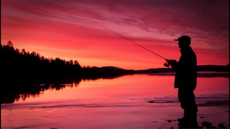 Ձկնորսություն և որսորդություն / Fishing and hunting – Գիշերային ձկնորսություն ձկնորսական ակումբում