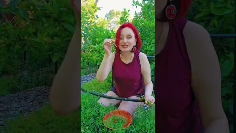 Хурритская Мифология,Армян